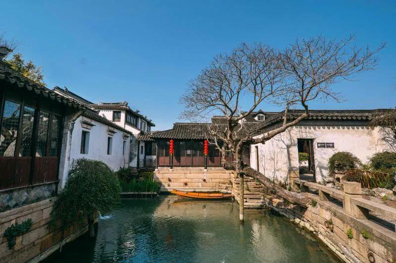 给你脸你总觉得别人傻子怎么回复他？游戏画面